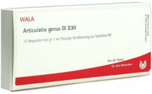 Articulatio Genus Gl D 30 Ampullen