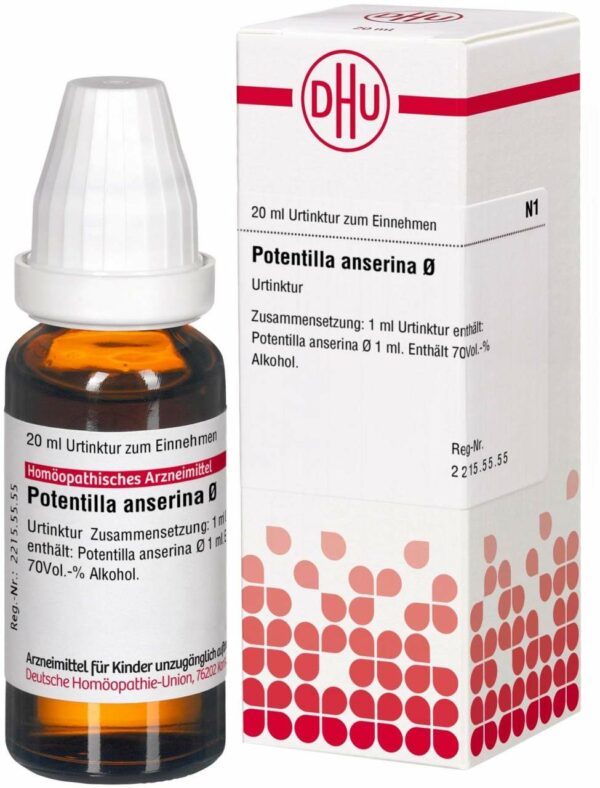 Potentilla Anserina Urtinktur 20 ml Lösung