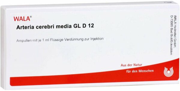 Arteria Cerebri Media Gl D 12 Ampullen