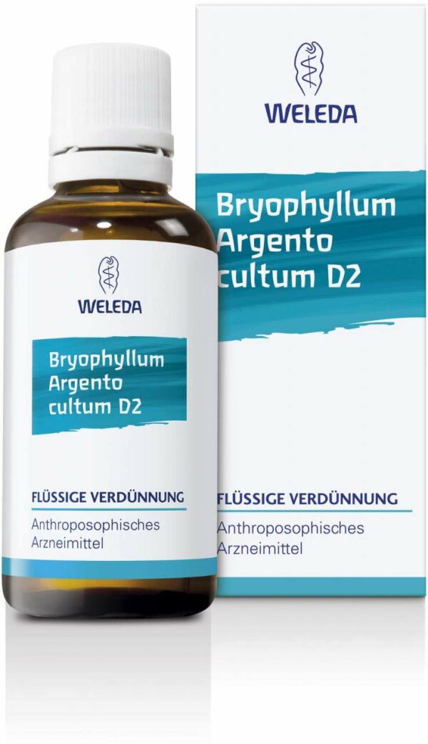 Weleda Bryophyllum Argento Cultum D2 50 ml Dilution