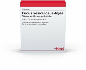 Fucus Vesiculosus Injeel Ampullen 10 Ampullen